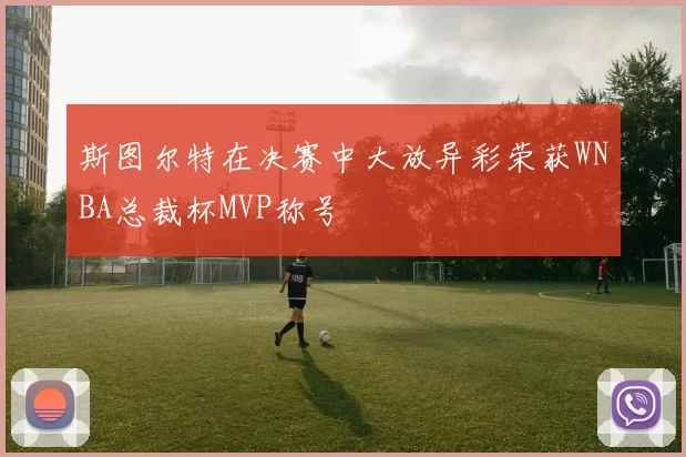 斯图尔特在决赛中大放异彩荣获WNBA总裁杯MVP称号